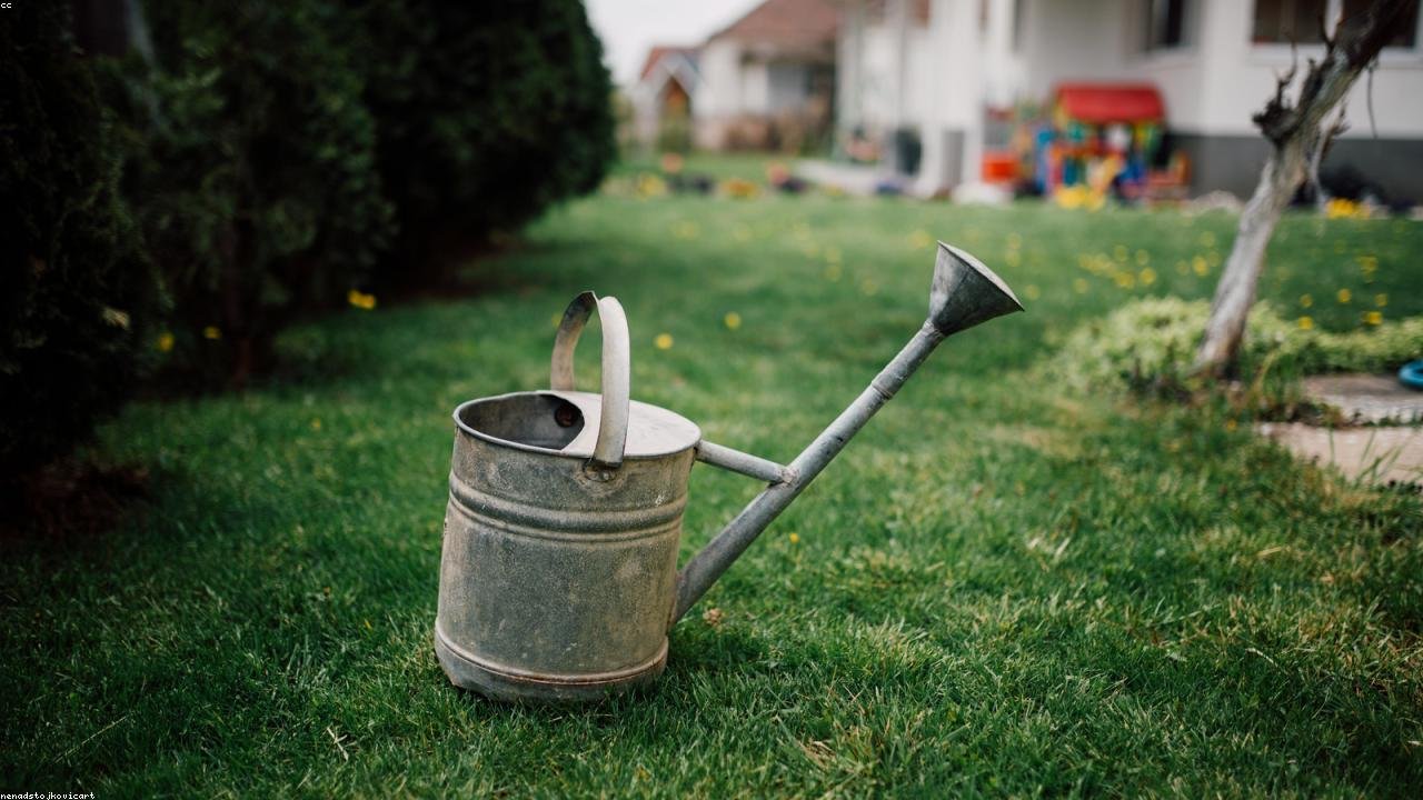 Gepflegter Garten mit frisch gemähtem Rasen