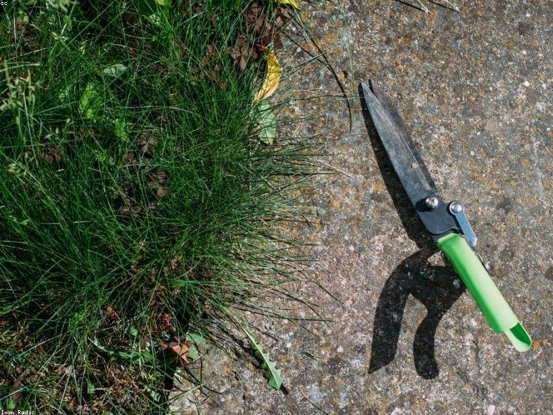 Gartenpflege